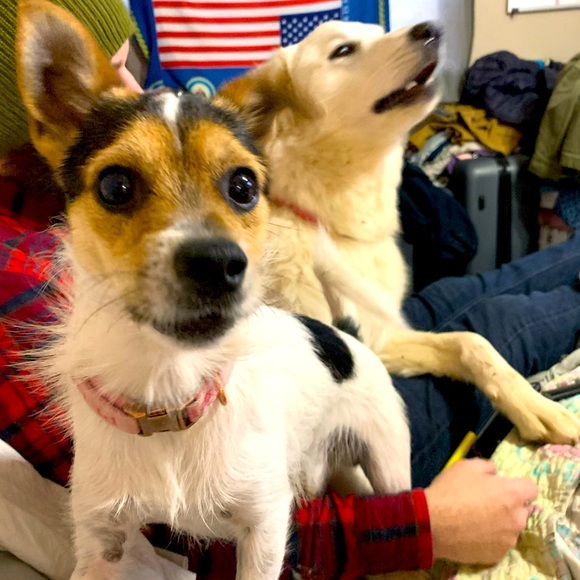 Meet your Posher, Sarah - Picture 6 of 8